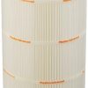 Pleatco PAP100-4 Replacement Cartridge for Predator 100 – Pentair Clean and Clear 100, 1 Cartridge