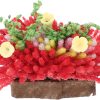 Doll House Potted Plant Artificial Bonsai Decor Mini Plants Mini DIY Bonsai Model Miniature Potted Plants Doll House Supply Artificial Potted Plant Tiny Bonsai Decor Mini Bonsai