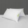Planet Pillow, 2-Pack