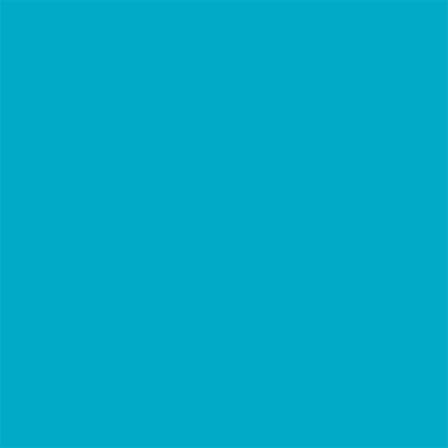 TRC Recreation Foam Swimming Pool Float, Floating Water Lounger, Splash 1.25?? - Image 48